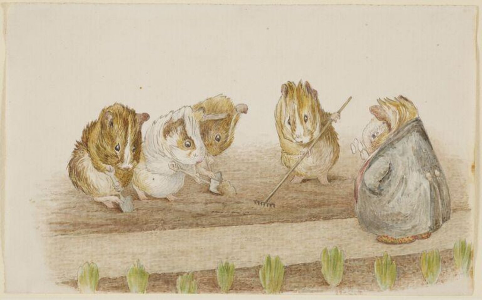 Guinea pigs gardening, Beatrix Potter, 01/1893
