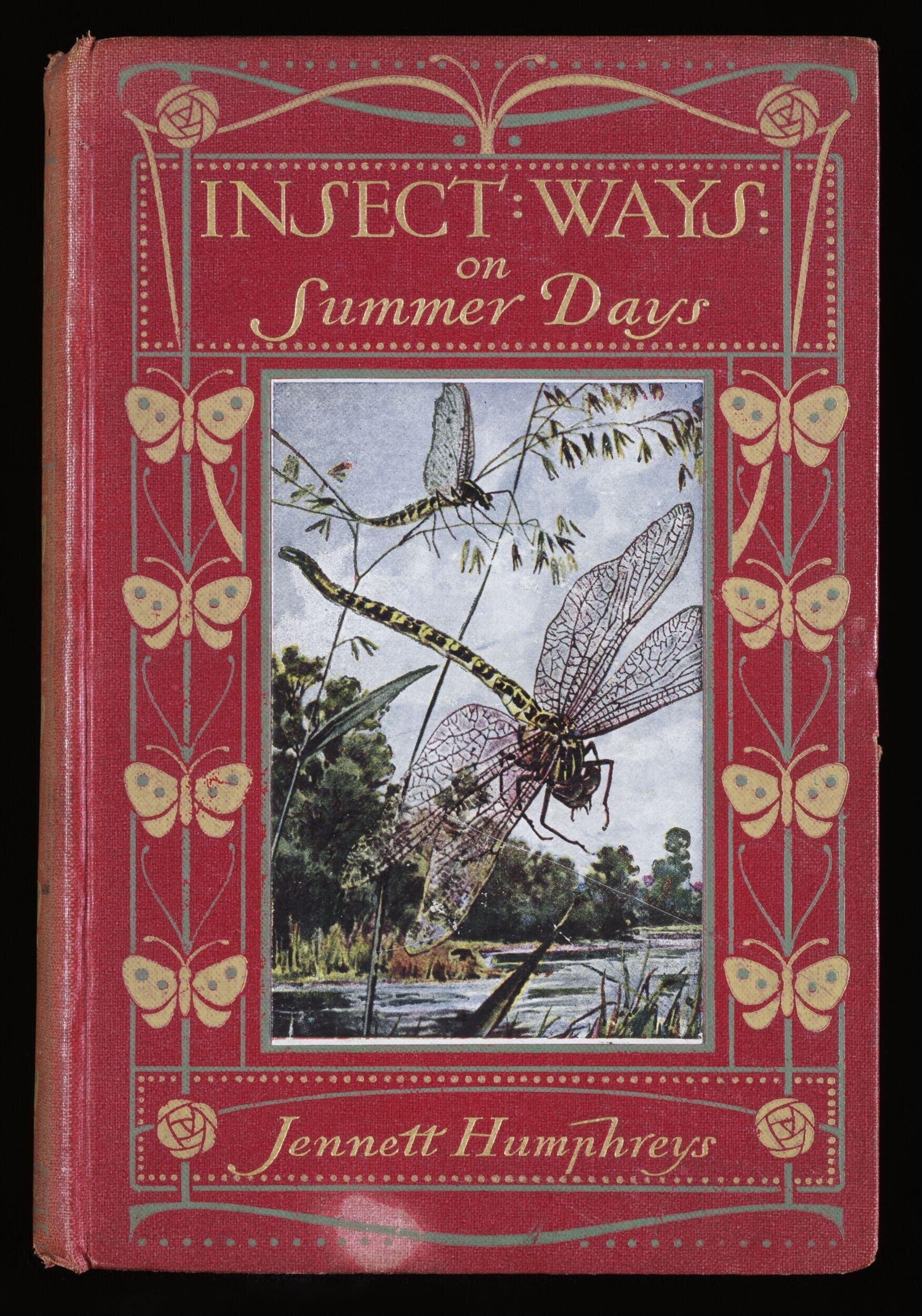 Insect ways on summer days: in garden, forest, field, and stream