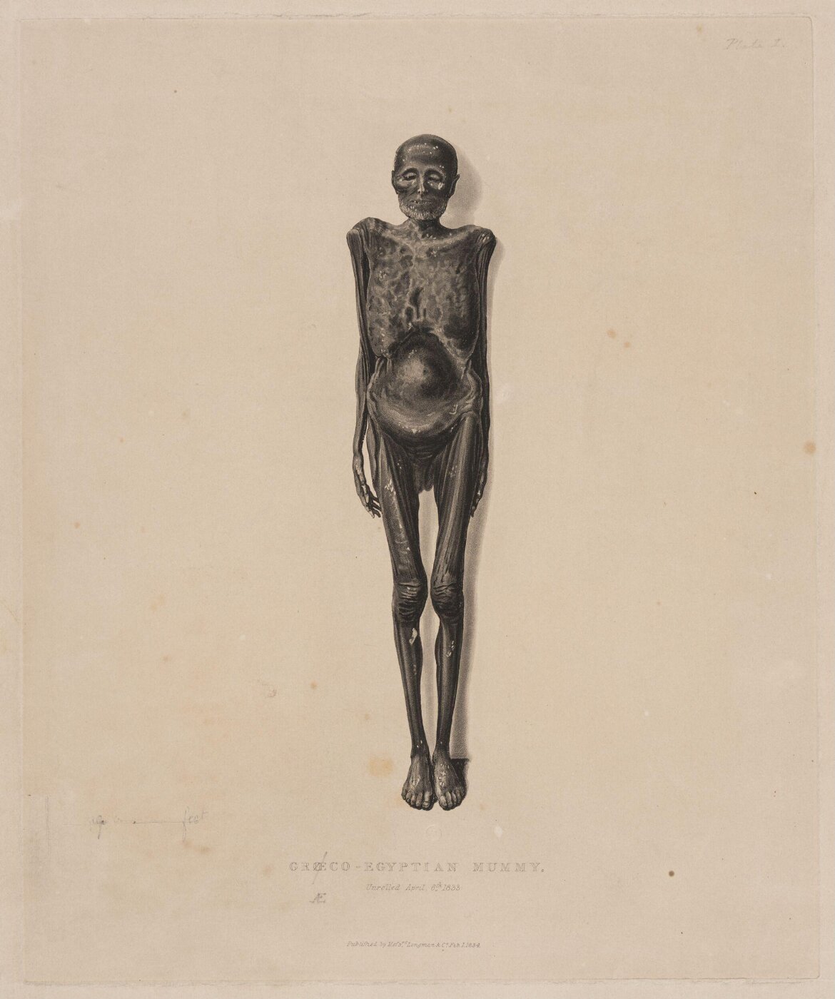 Cruikshank, George, A History of Egyptian Mummies