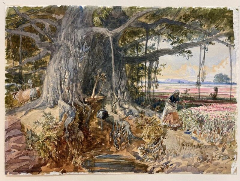 Opium cultivation scene, Malwa