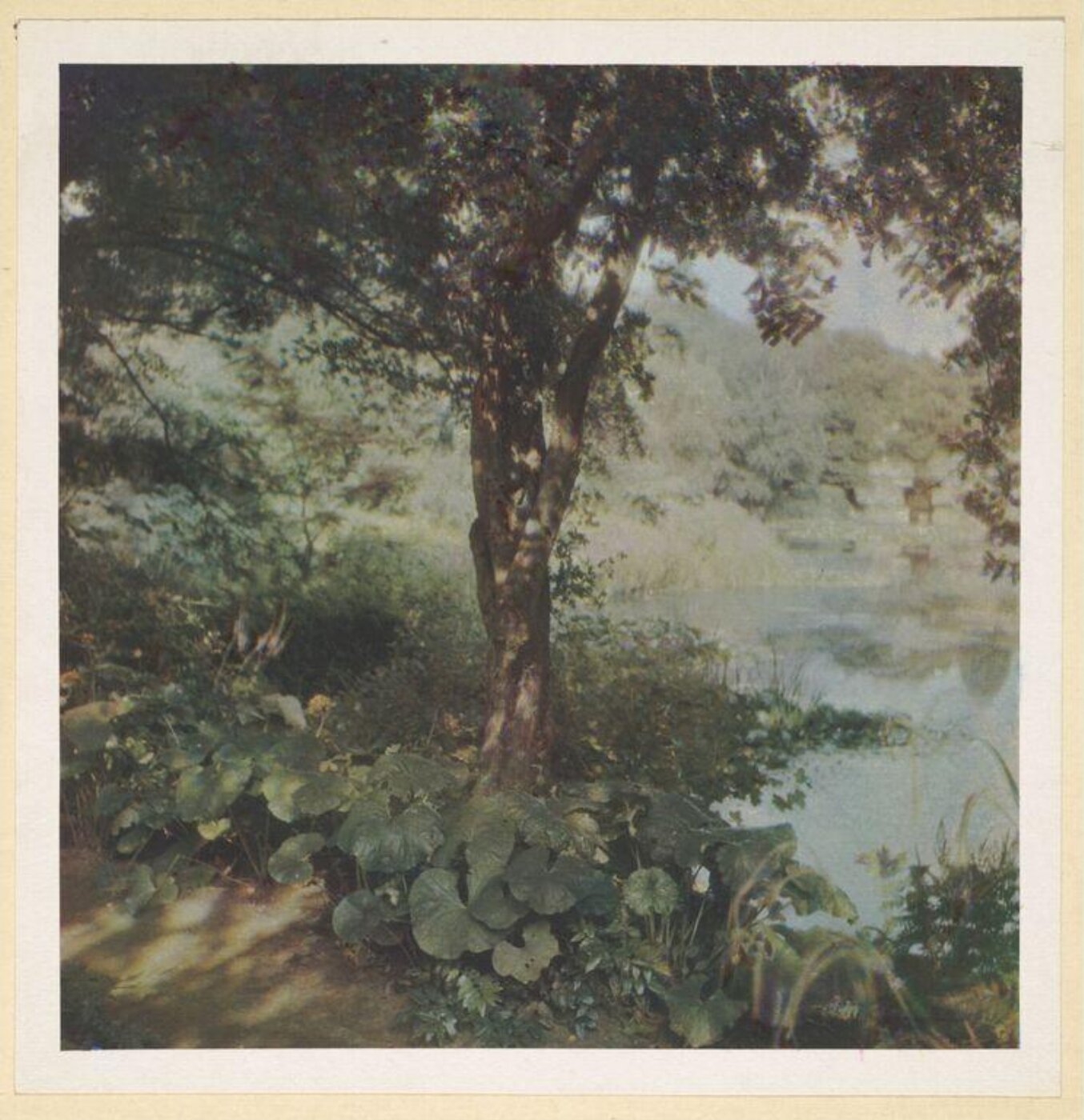 Warburg, Agnes Beatrice, On the grounds, Sandringham
