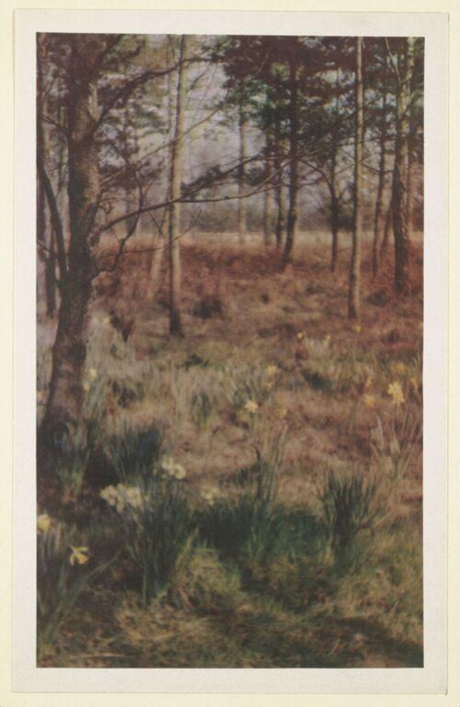 Warburg, Agnes Beatrice, Signs of spring, Boidier