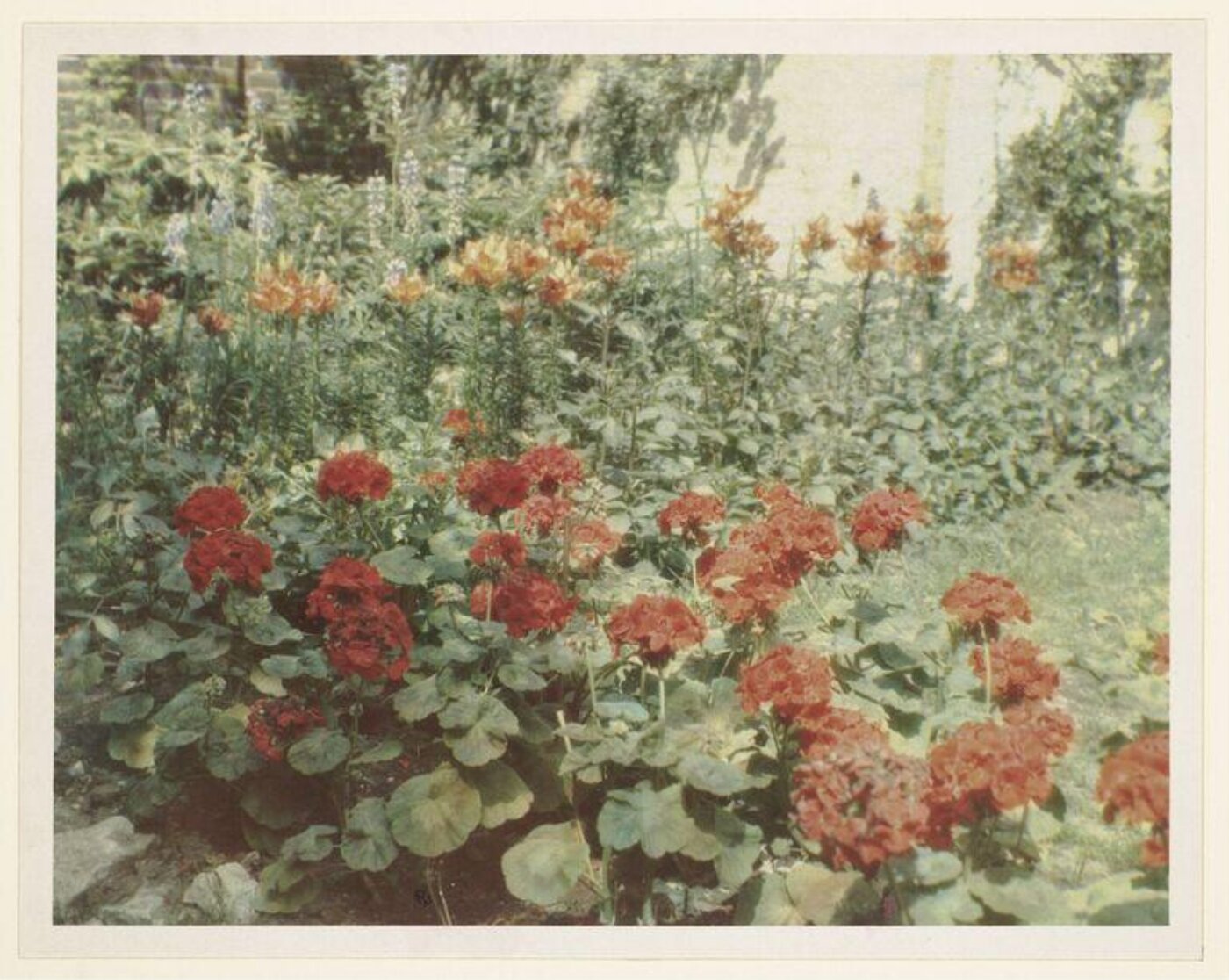 Warburg, Agnes Beatrice, Brighter London