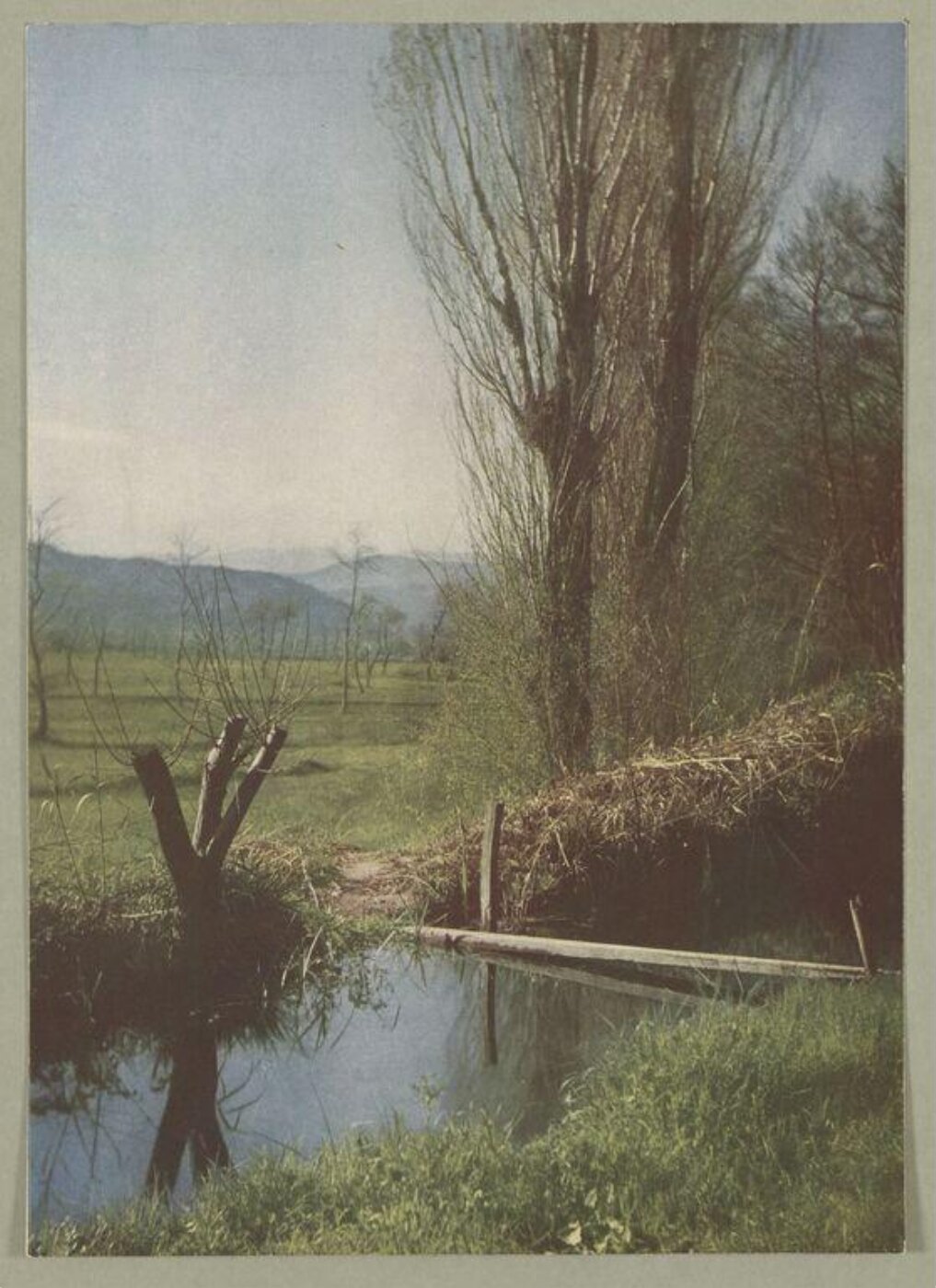 Warburg, Agnes Beatrice, At Pegomas