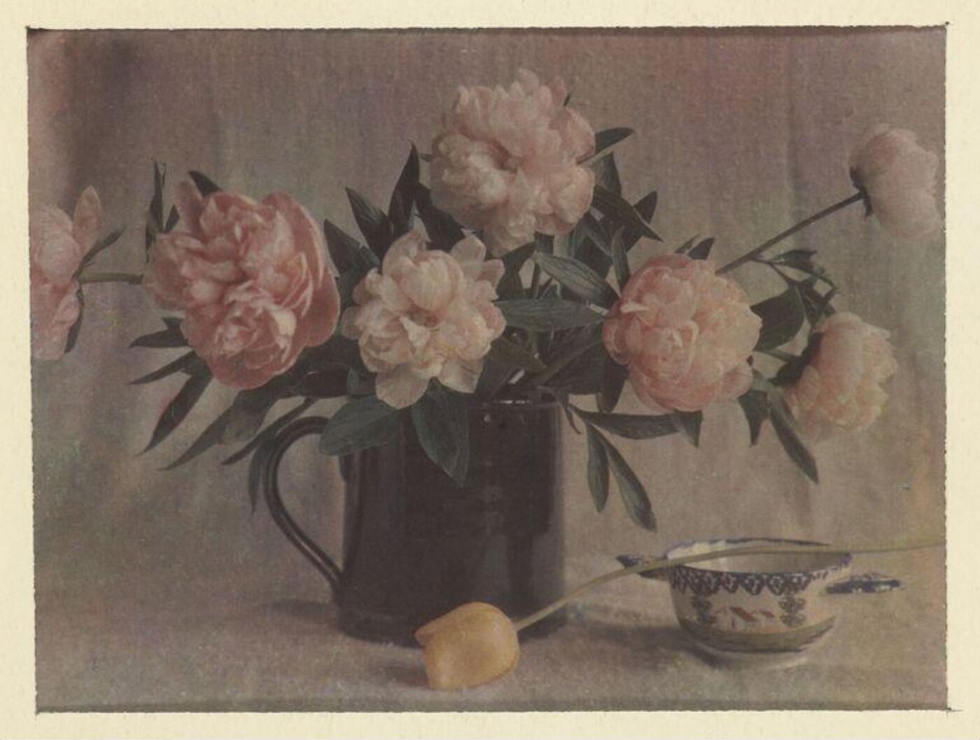 Warburg, Agnes Beatrice, Peonies