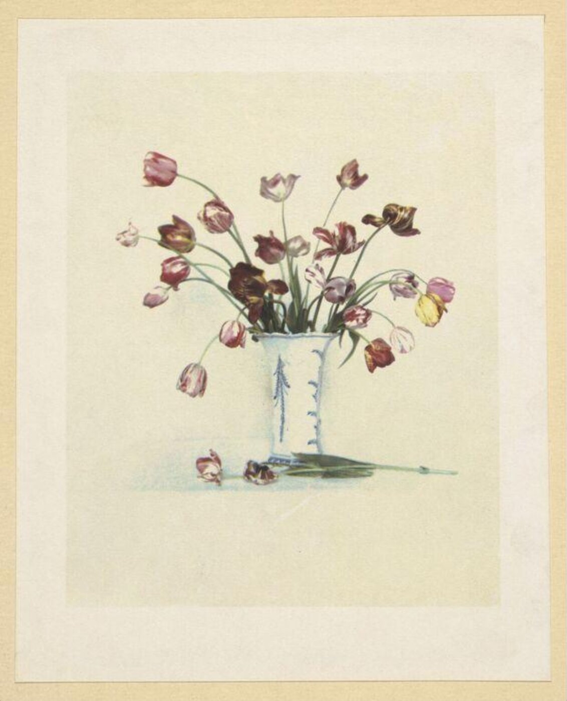 Warburg, Agnes Beatrice, Bybloemens