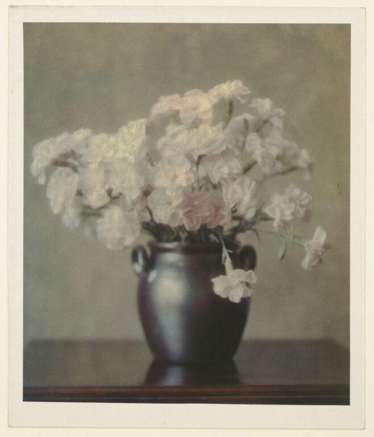 Warburg, Agnes Beatrice, Pinks