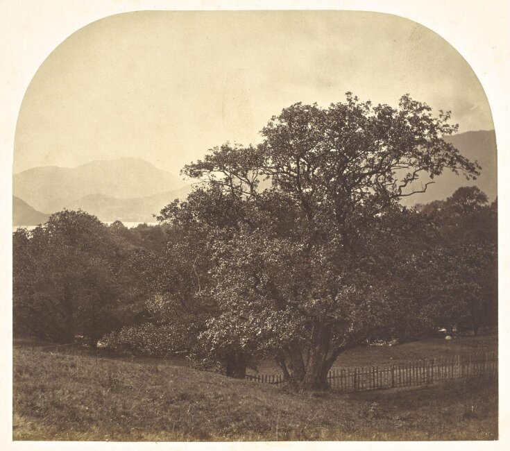 Distany View of Ullswater from Gowbarrow Park top image