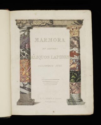 Afbeelding der marmor soorten