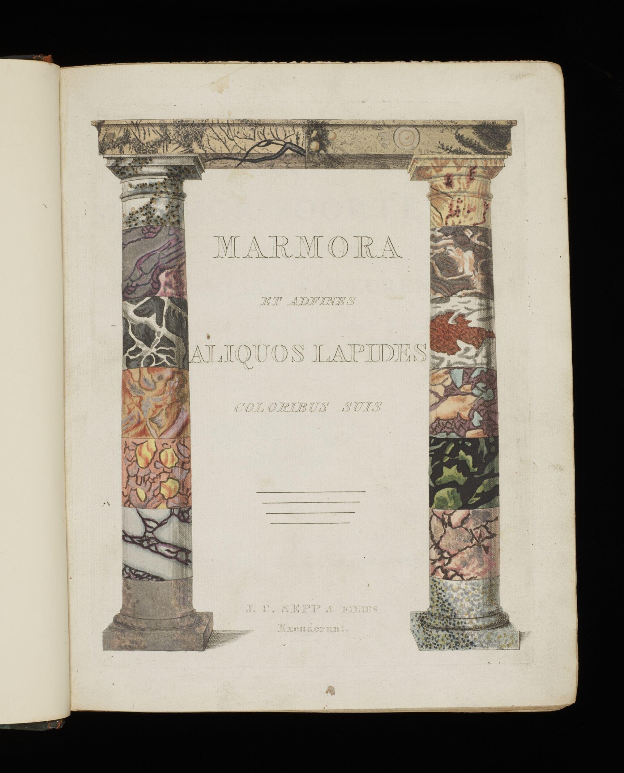 Afbeelding der marmor soorten