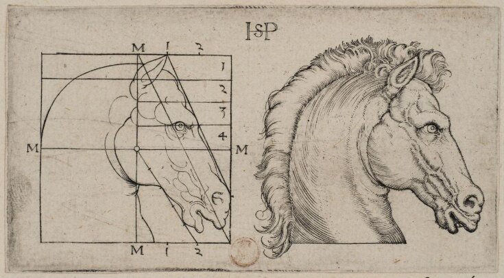 Head of a horse, with a scale of proportions top image