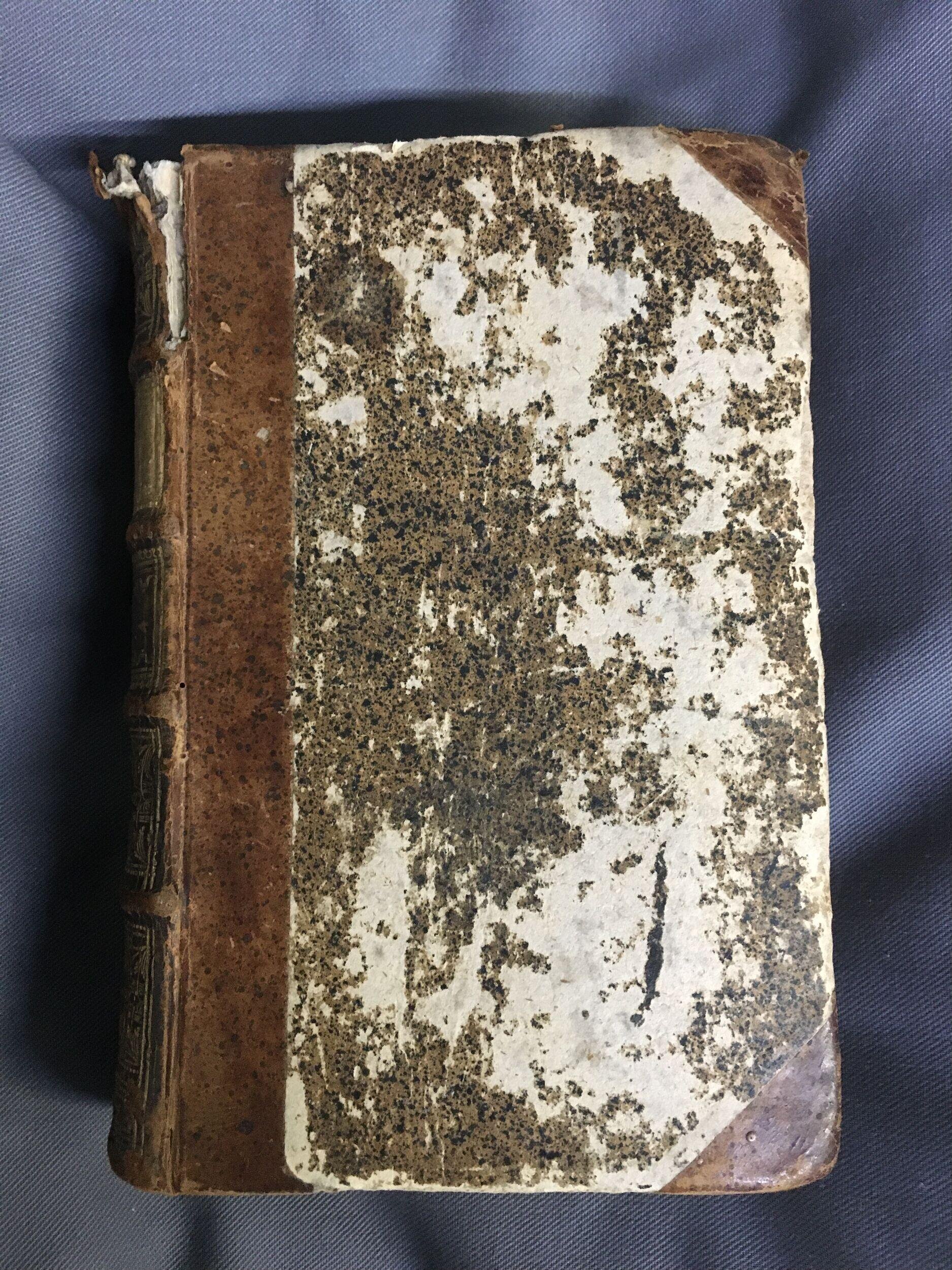Les six voyages de Jean Baptiste Tavernier, vol. 2
