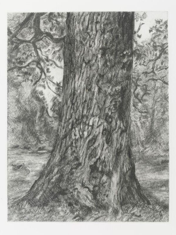 After Constable's Elm