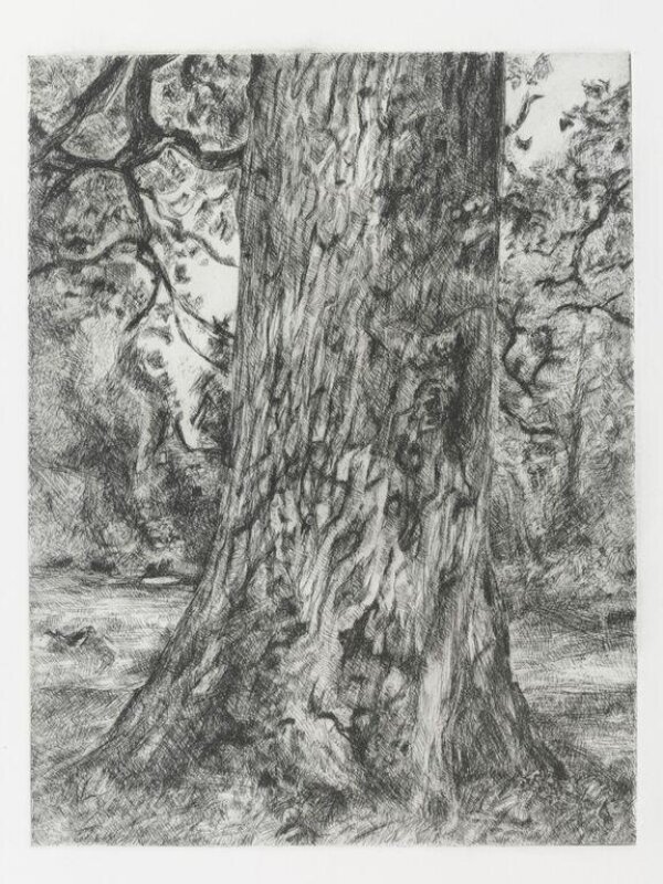 After Constable's Elm