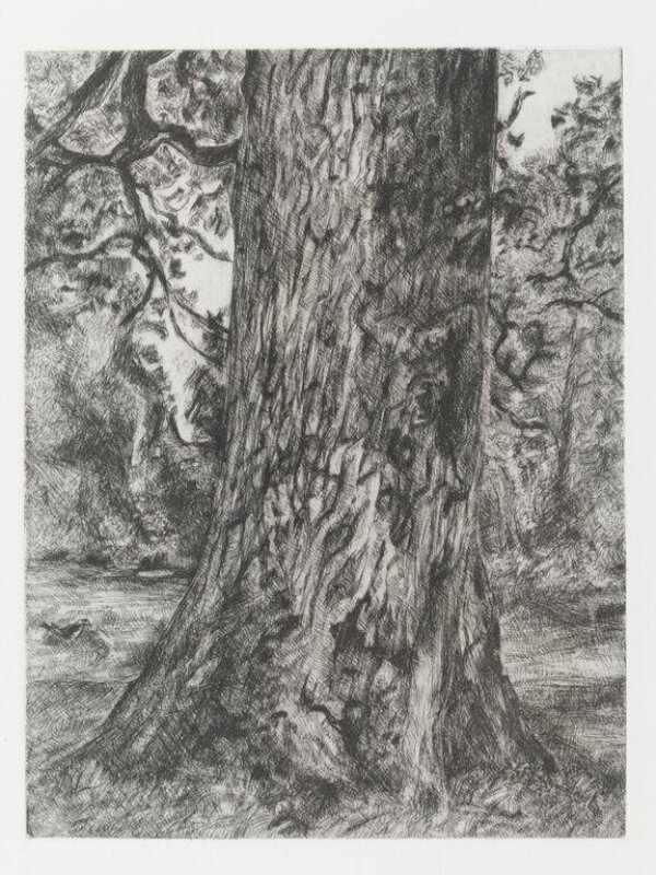 After Constable's Elm