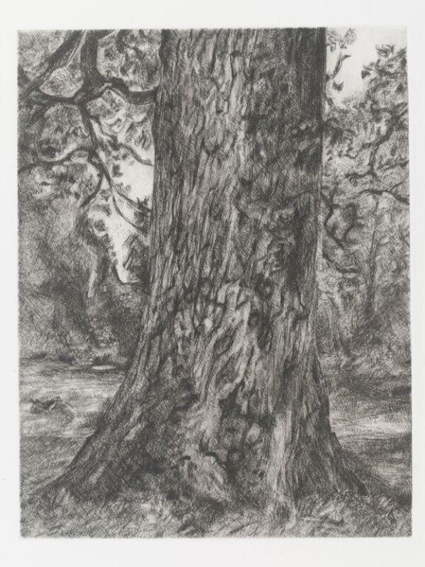 After Constable's Elm