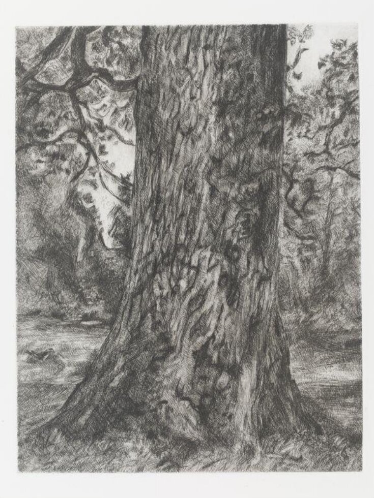 After Constable's Elm top image