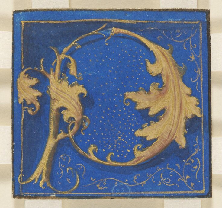 Decorated initial P top image