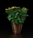 Trick pot plant used by Tommy Cooper in his magic act thumbnail 2