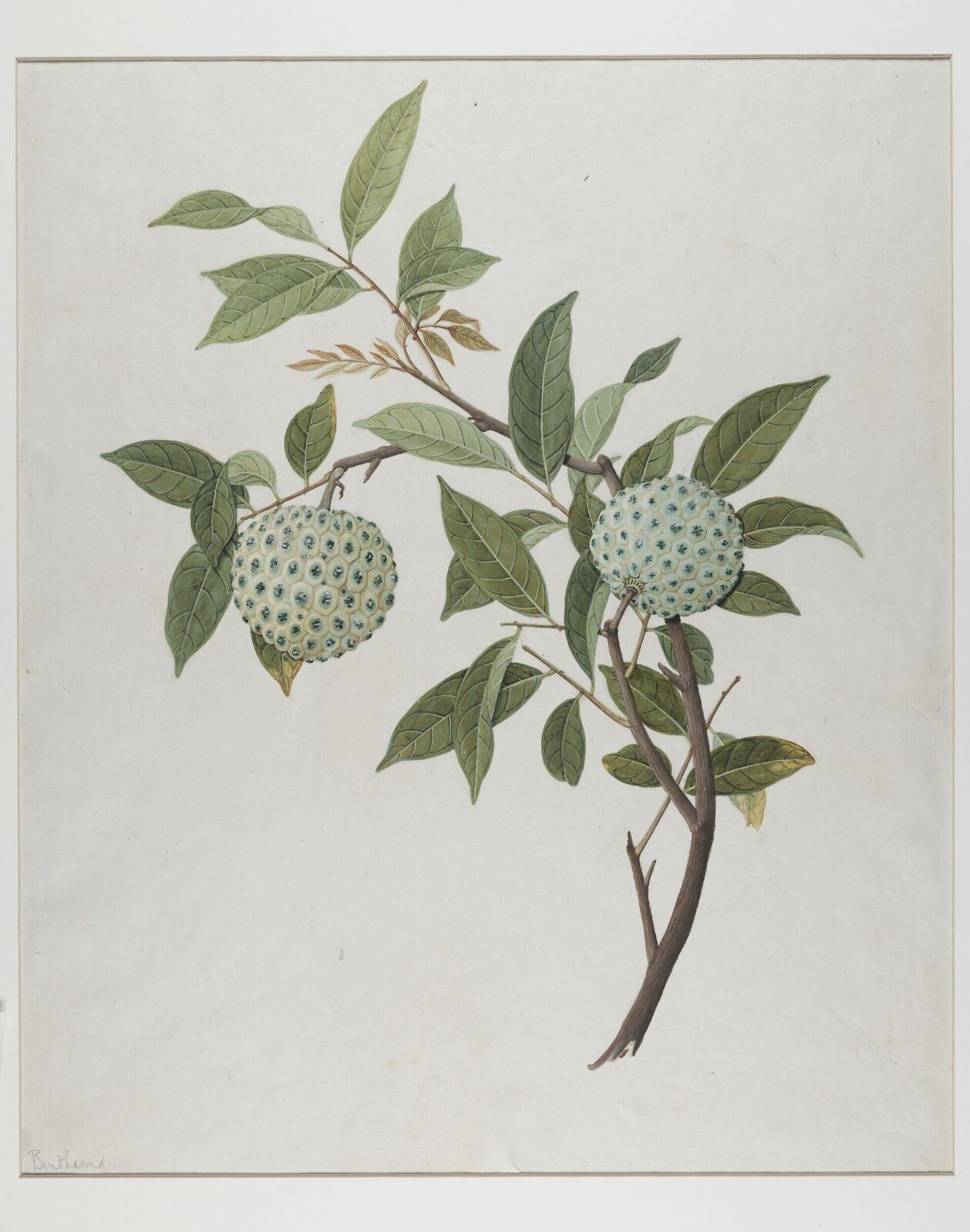 Painting, 19th century