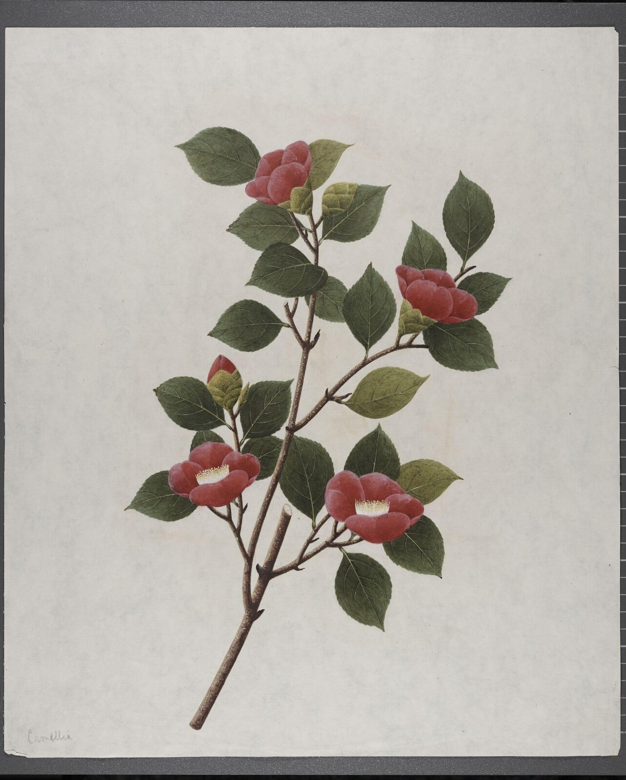 Painting, 19th century
