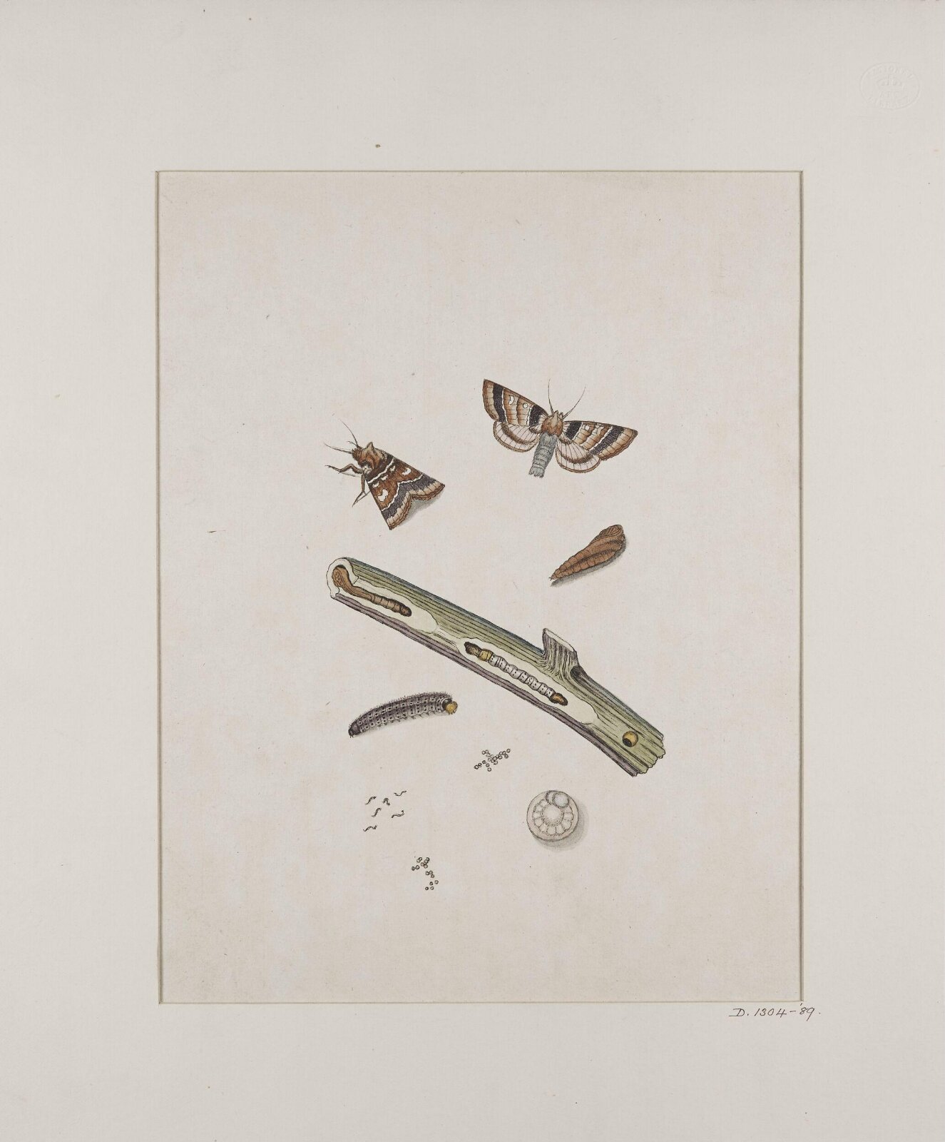 Painting, 19th century