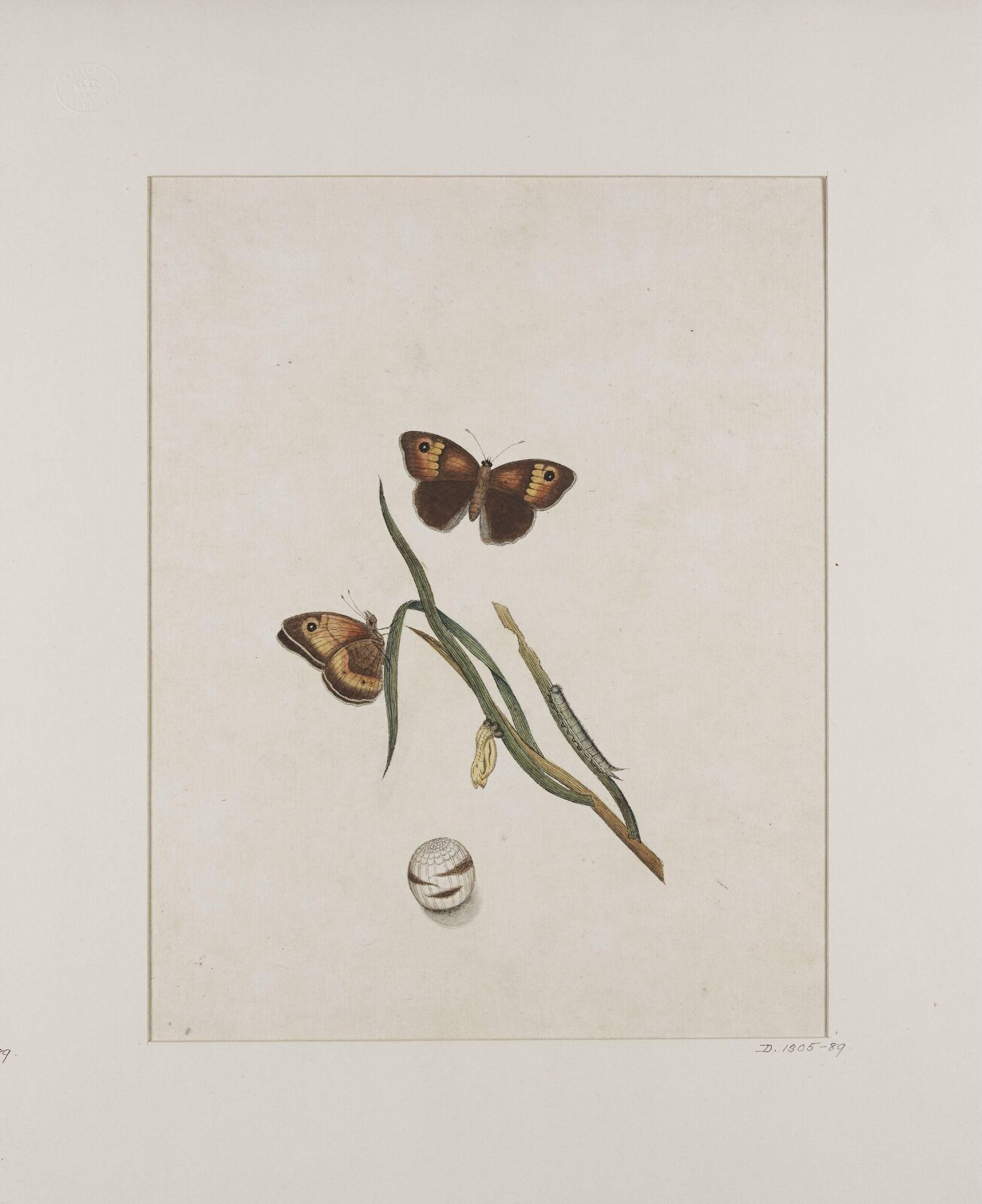 Painting, 19th century