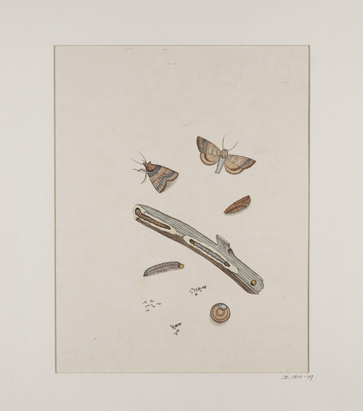 Painting, 19th century