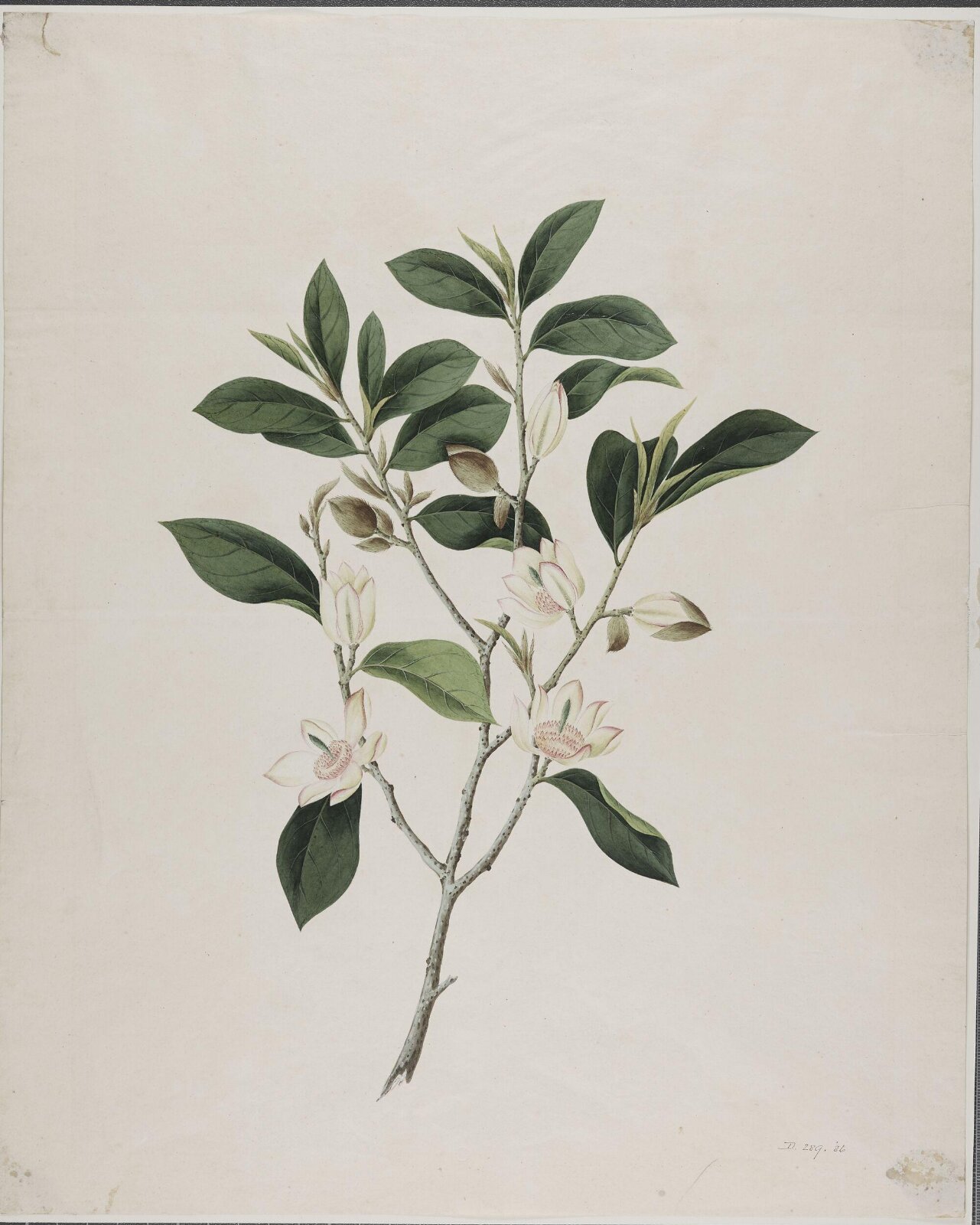 Painting, 19th century
