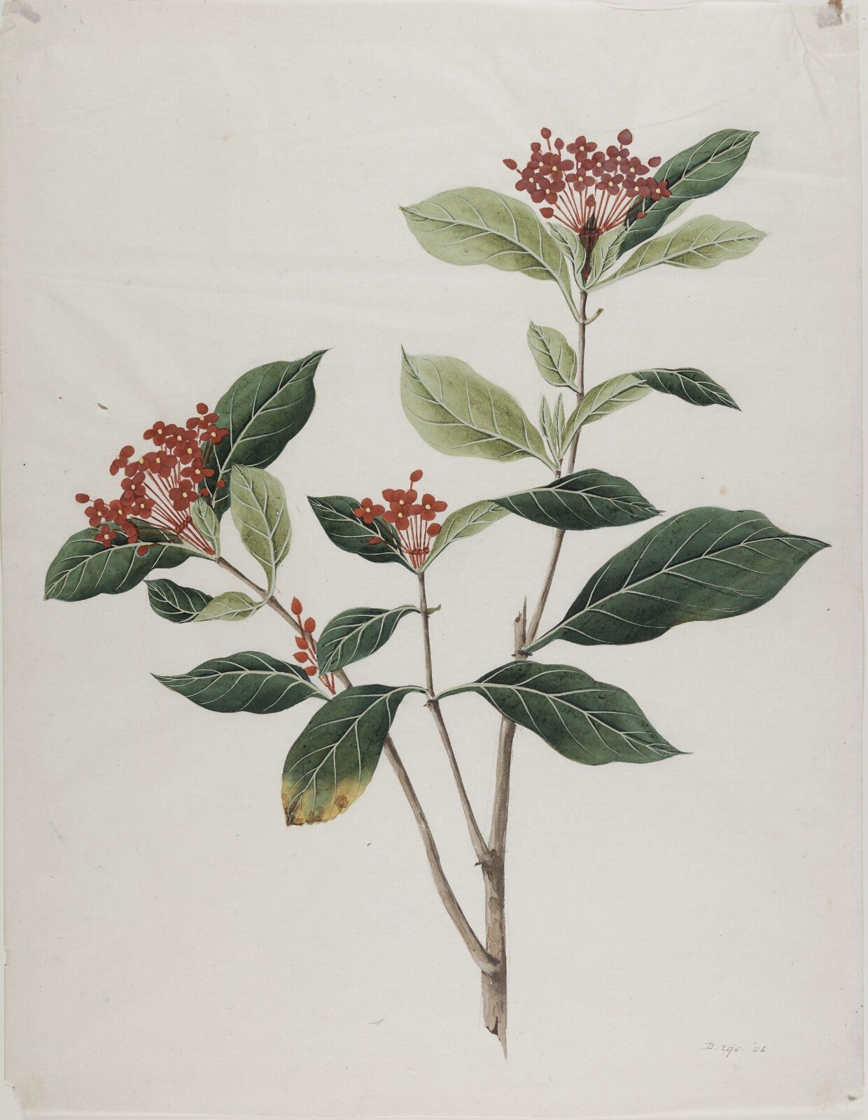 Painting, 19th century