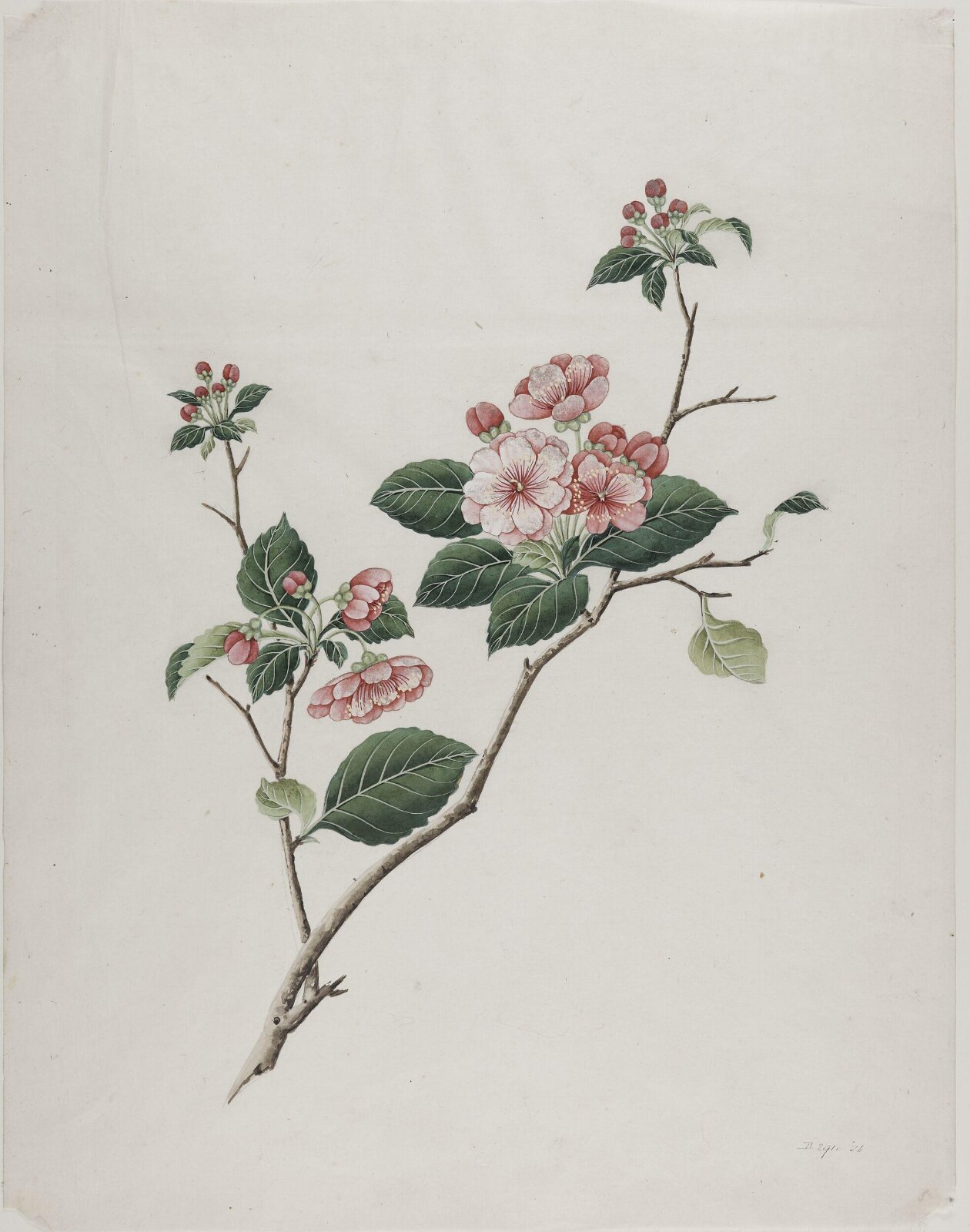 Painting, 19th century