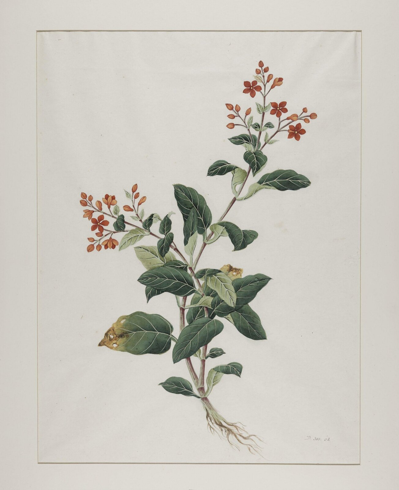 Painting, 1800-1840