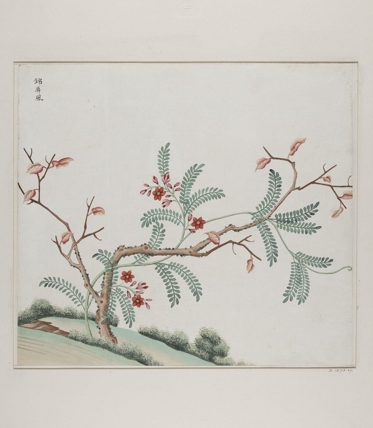 Unknown, Jin pin feng