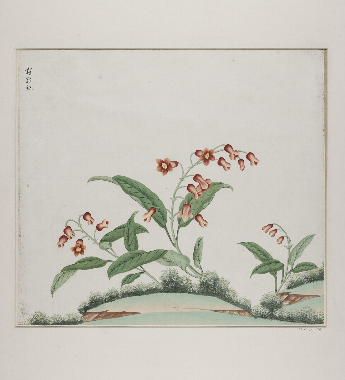 xiang ying hong, 1770-1790