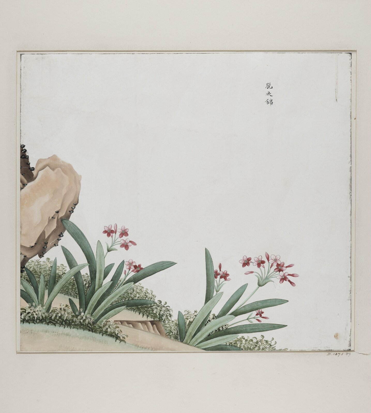 tuo yi jin, 1770-1790