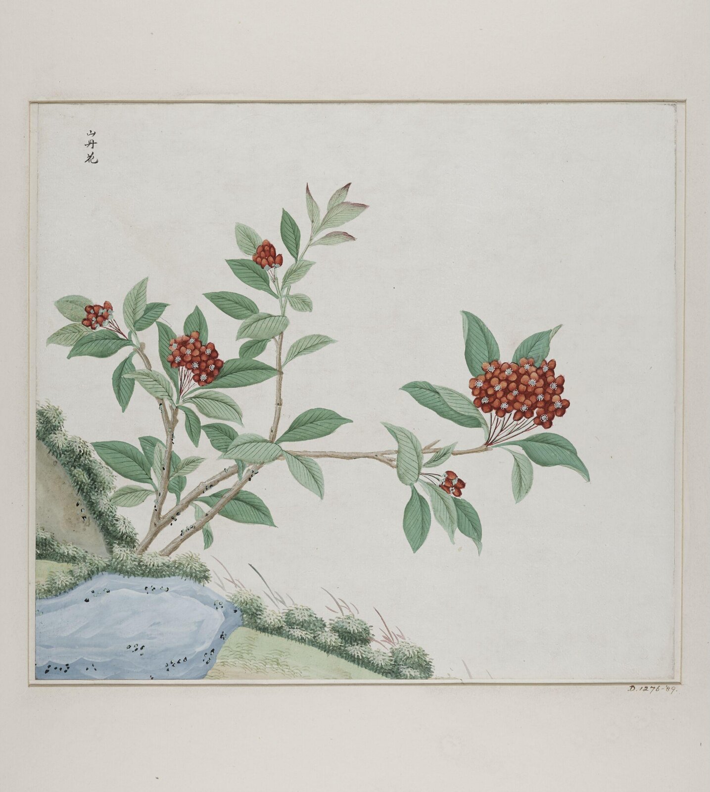 Shan dan hua, 1770-1790