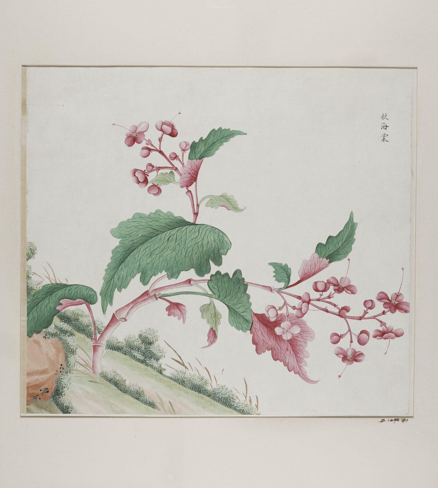 Qiu hai tang, 1770-1790