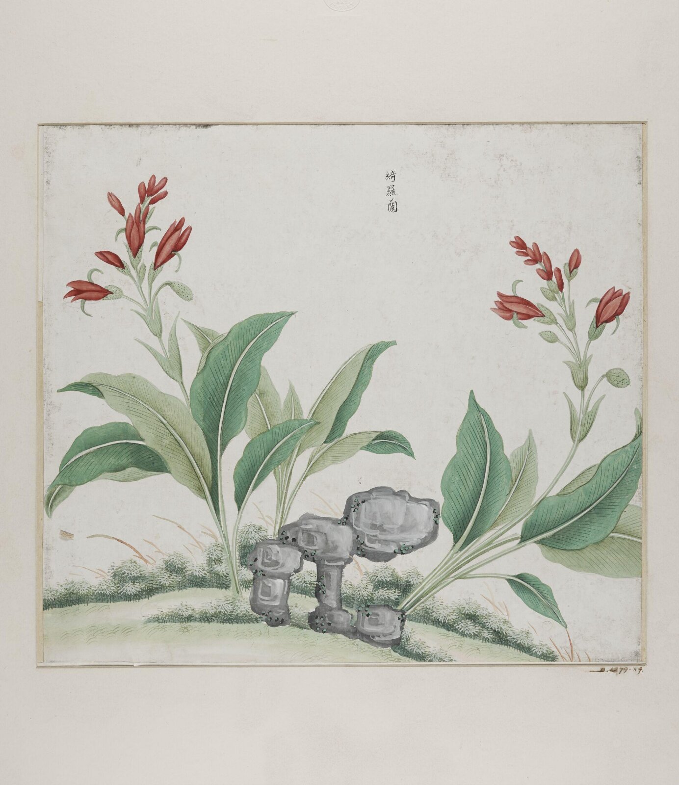 Yi luo lan, 1770-1790