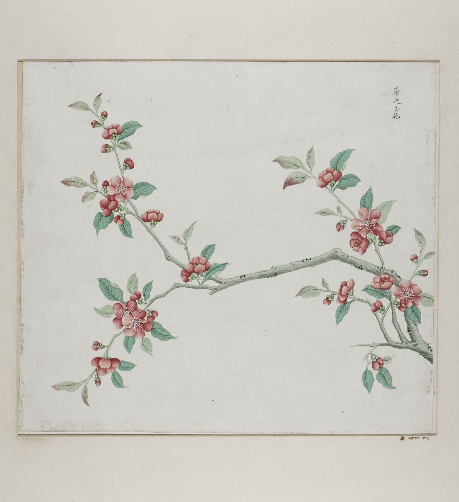 Gang bian xing hua, 1770-1790