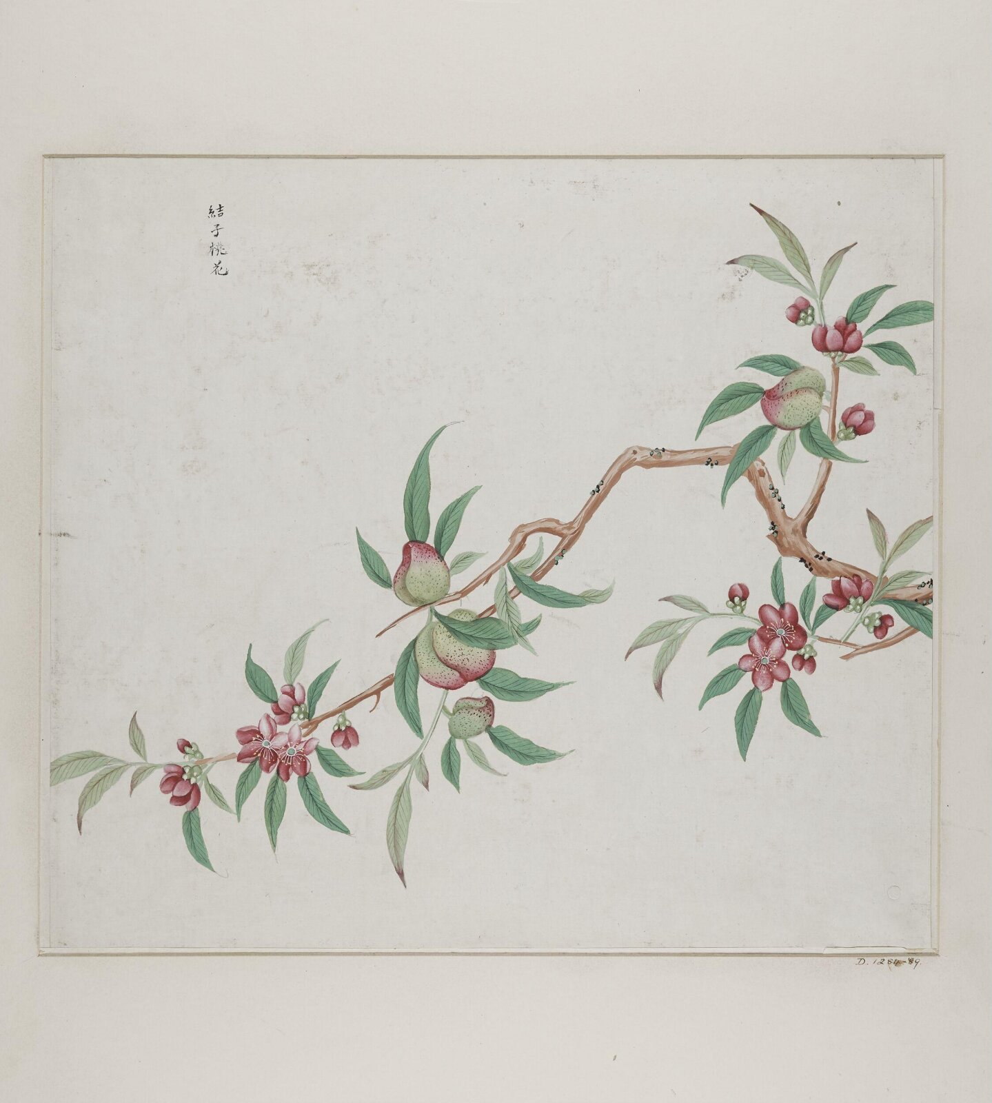 Jie zi tao hua, 1770-1790