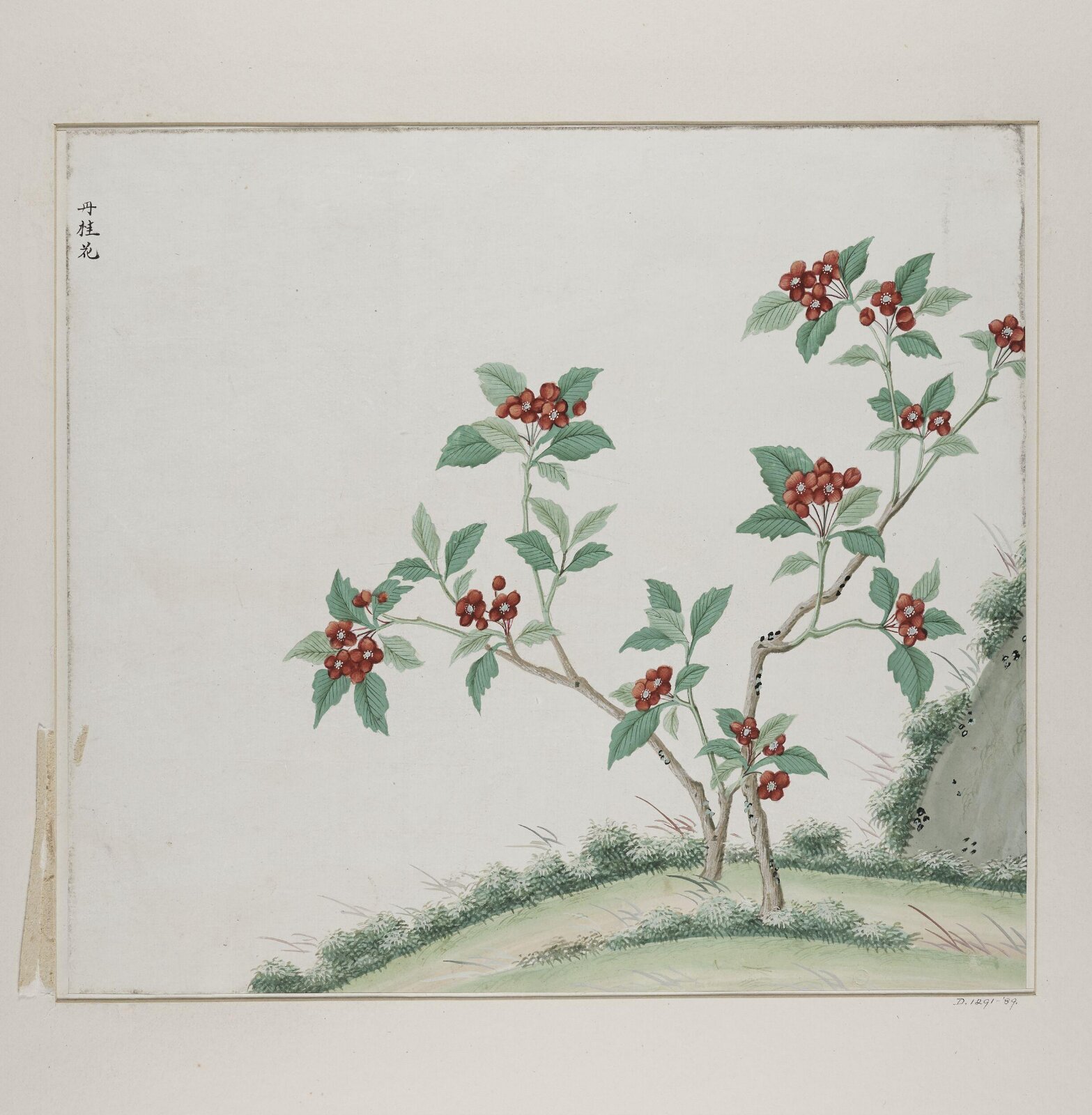 Dan gui hua, 1770-1790