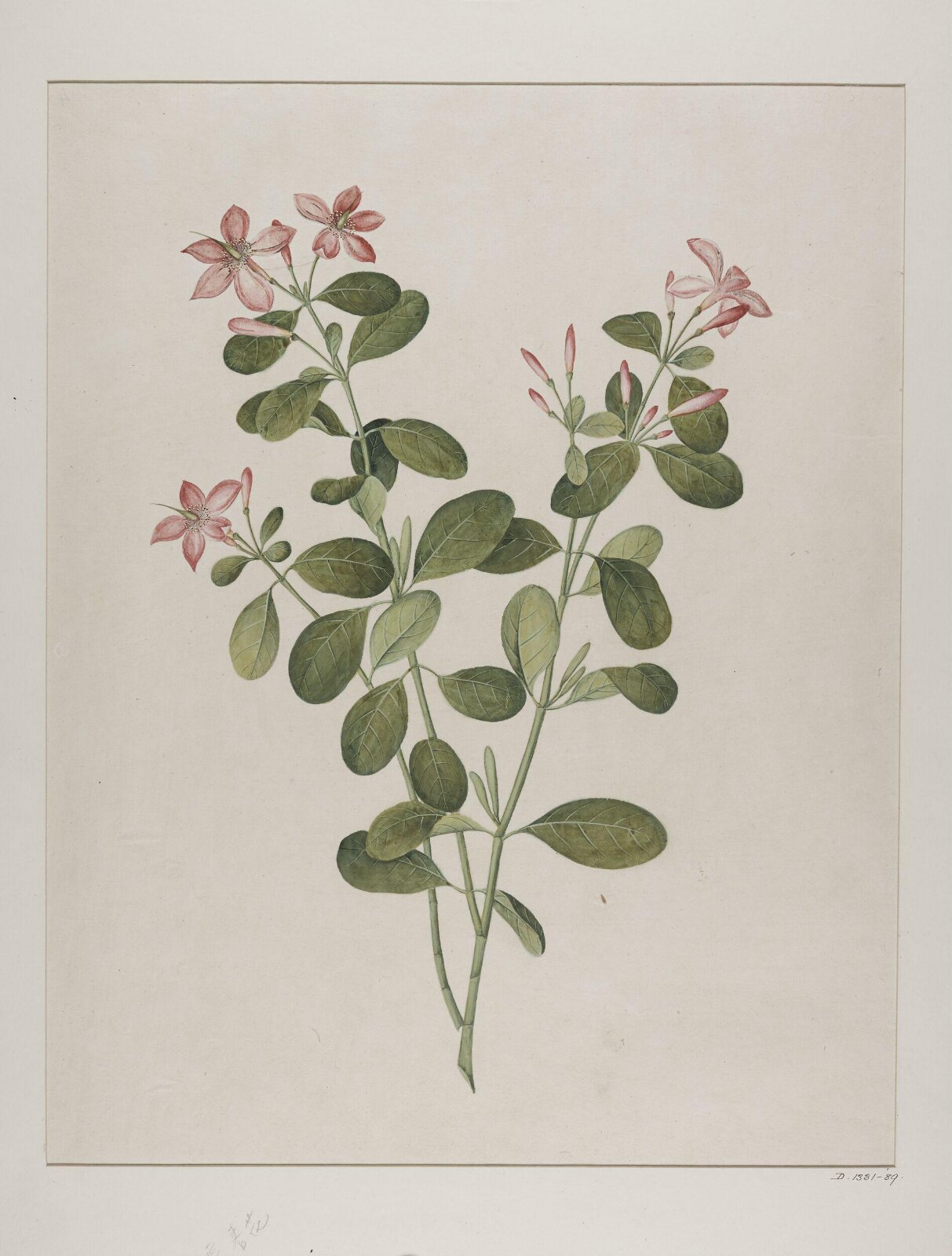 Painting, 1770-1790