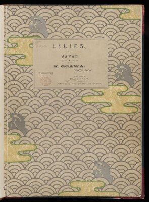 Lilies of Japan