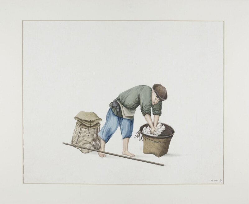 Man Selling Arowhead Plants