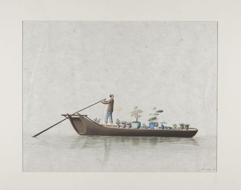Boat Florist