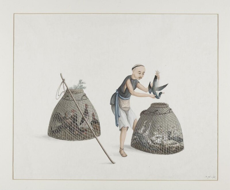 A Poultry Seller