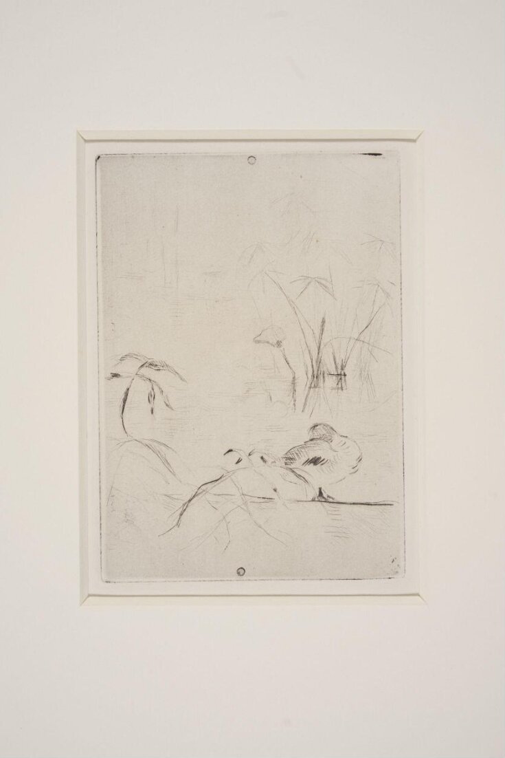 Duck (with reeds and arrowheads)