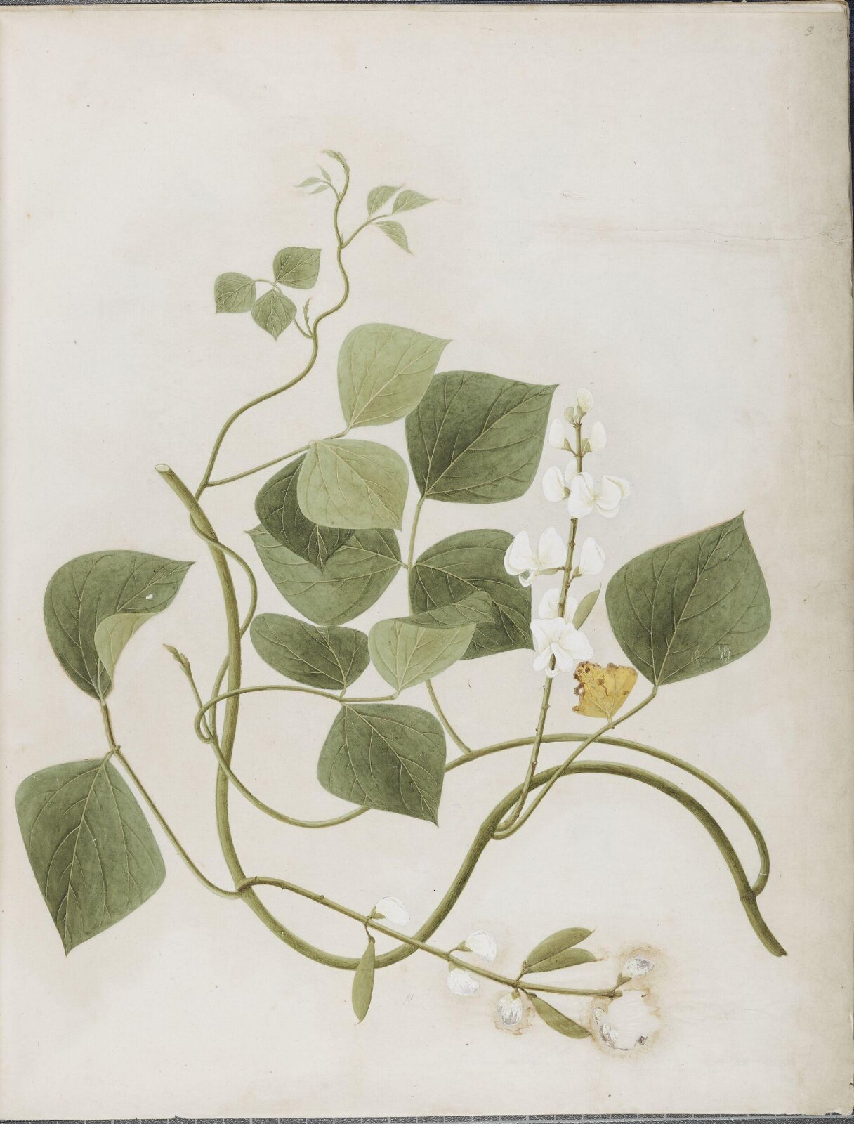 Painting, 19th century