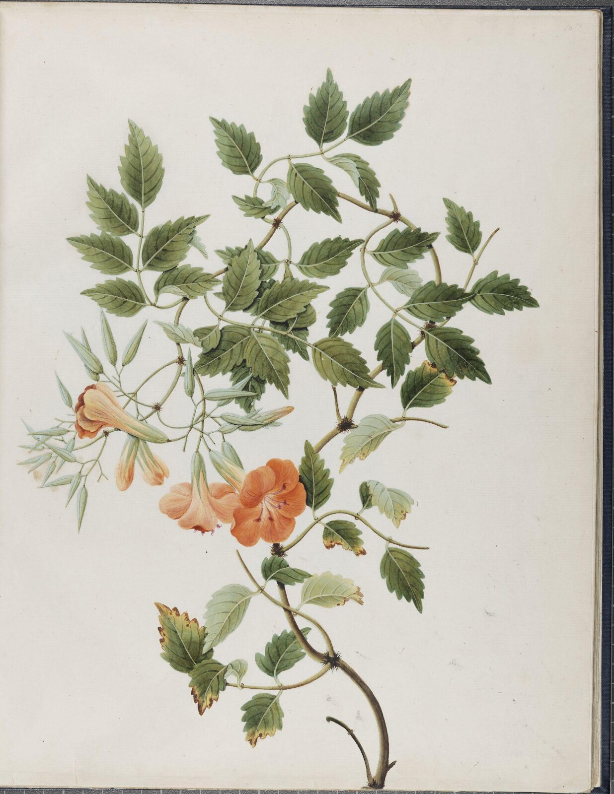 Painting, 19th century