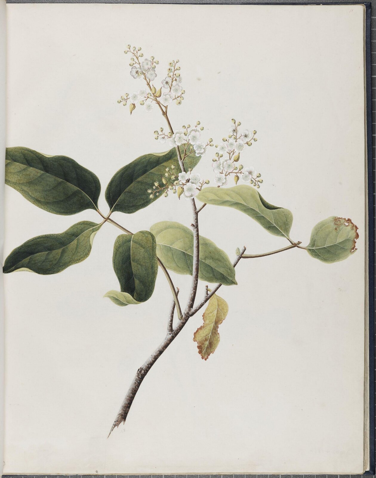 Painting, 19th century